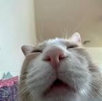 N!GG3R's Profile Picture In GameUP