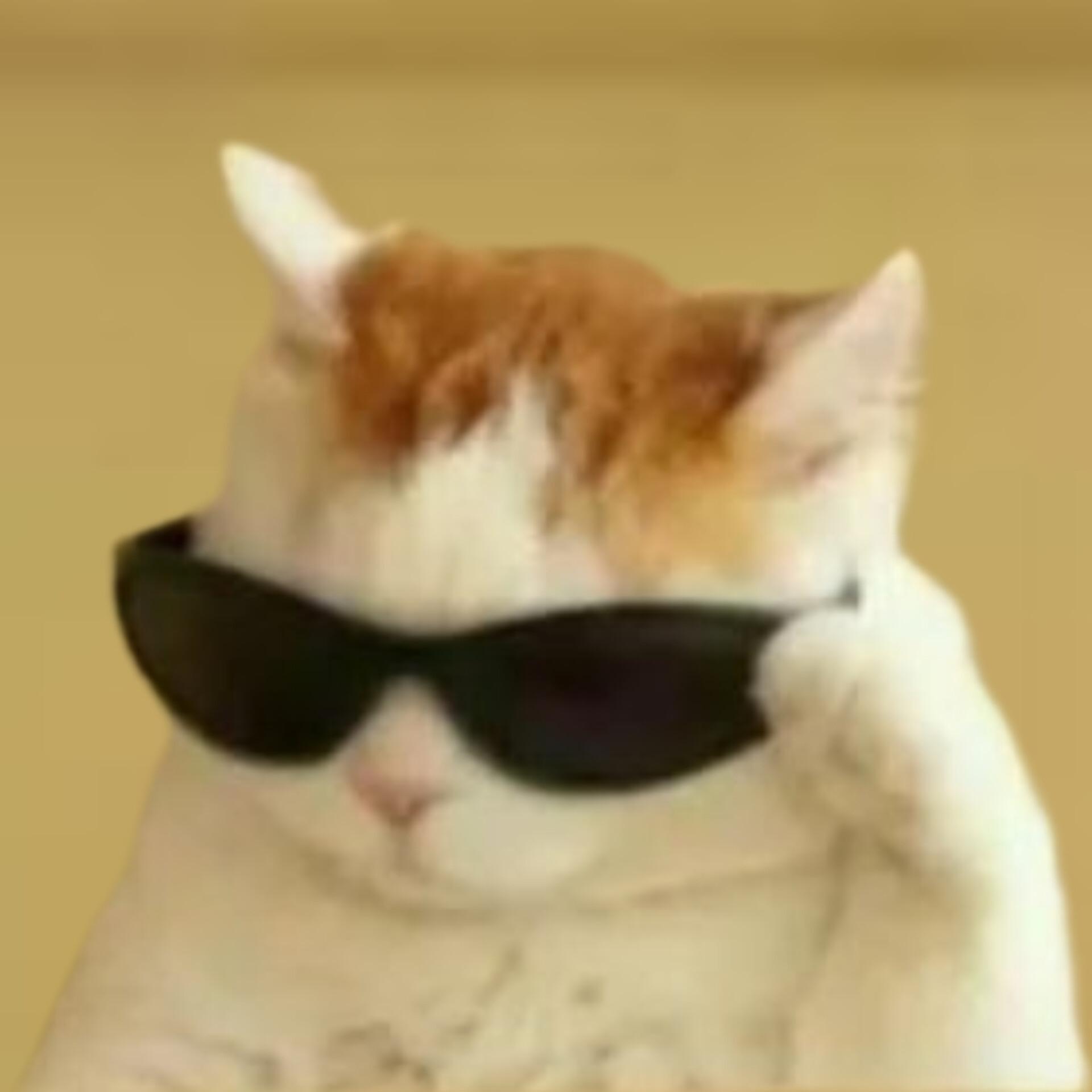 Gobi's Profile Picture In GameUP